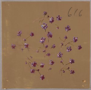 Dibujo, de Saint Germain - Volúmenes 1 y 2 de Unbekannt