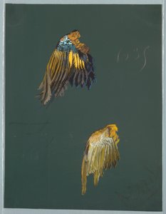 Dibujo, de Saint Germain - Volúmenes 1 y 2 de Unbekannt