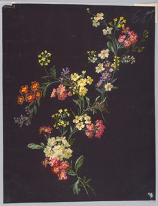 Dibujo, de Saint Germain - Volúmenes 1 y 2 de Unbekannt