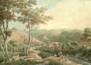 Castillo de Drusllwyn, Caermarthenshire, c1900 de Unbekannt