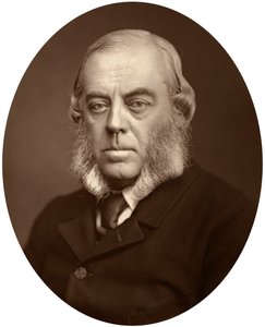 Duque de Malborough, Lord Teniente de Irlanda, 1881 de Unbekannt