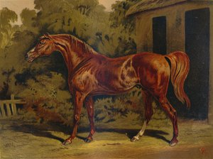 Eclipse, c. 1879 de Unbekannt