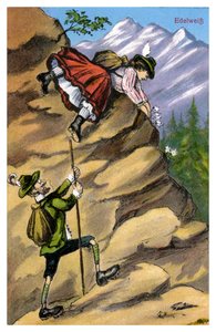 Edelweiss, finales del siglo XIX o principios del siglo XX
