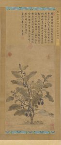 Berenjena, dinastía Ming, 1368-1644 de Unbekannt