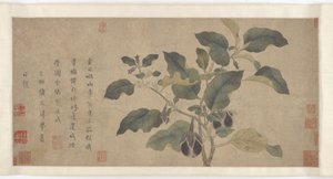 Berenjena, dinastía Yuan o Ming, siglo XIV de Unbekannt