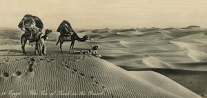 Egipto - El mar de tierra en el desierto, c. 1918-c. 1939 de Unbekannt