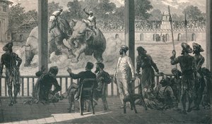 Pelea de Elefantes en Baroda, 1896 de Unbekannt
