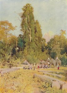 Elefantes apilando teca, 1924 de Unbekannt