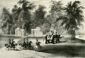 Elefantes y guardia en el parque de Barrackpore, 1820, 1925 de Unbekannt