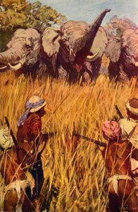 Elefantes en persecución, c1850 c1912 de Unbekannt