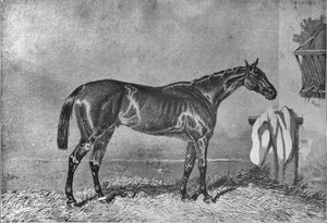 Ellington, 1853-1870 de Unbekannt
