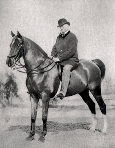 Emile de Girardin, periodista, publicista y político francés, 1866 de Unbekannt