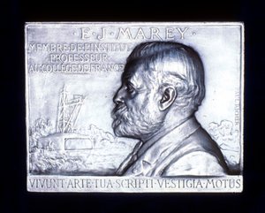 Etienne Jules Marey 1830-1903, fisiólogo francés, siglo XIX de Unbekannt