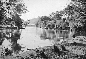 Sombras de la tarde, Parque Nacional, c. 1900
