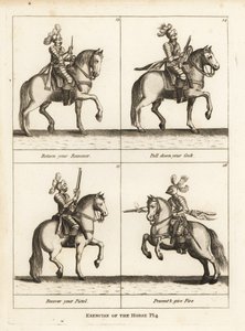 Ejercicio del caballo de Unbekannt