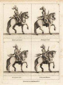 Ejercicio del caballo de Unbekannt