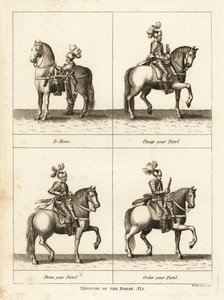 Ejercicio del caballo de Unbekannt