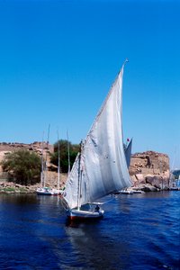 Feluccas en el Nilo, Isla Elefantina cerca de Asuán, Egipto moderno de Unbekannt