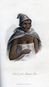Mujer de la raza bosquimana, 1848 de Unbekannt