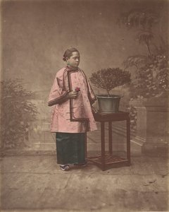 Fille de Shanghai, 1870s de Unbekannt