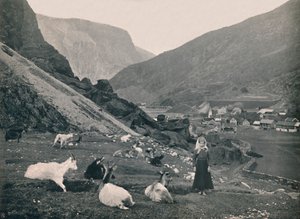 Flaam, 1914 de Unbekannt