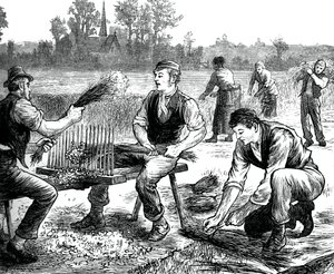 Rippling de lino, c1880 de Unbekannt