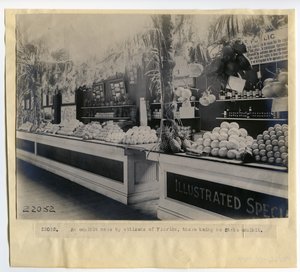 Exhibición de horticultura de Florida en el Palacio de Horticultura en la Feria Mundial de 1904 de Unbekannt