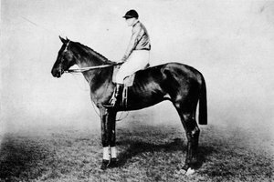 Flying Fox, 1896-1911 de Unbekannt