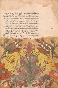 Folio de un Kalila wa Dimna, siglo XVIII de Unbekannt