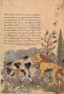 Folio de un Kalila wa Dimna de Unbekannt