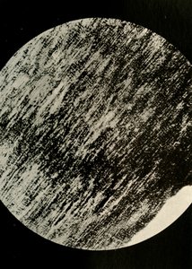 Madera fósil en arenisca, de una morrena en latitud 85° Sur, c1908, 1909 de Unbekannt