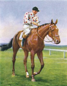 Foxbrough II, Jinete: P. Beasley, 1939 de Unbekannt