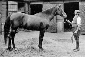 Foxhall de Unbekannt