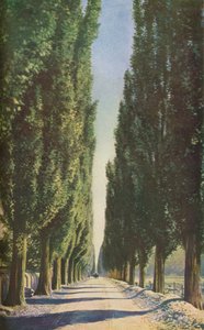 Francia, c1930s de Unbekannt