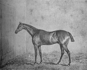 Federico, 1826-1837 de Unbekannt