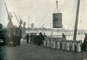 Leche francesa desembarcada en Southampton, 1902 de Unbekannt