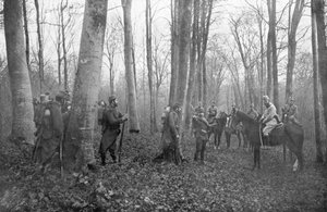 Patrullas francesas en el bosque de Argonne, Francia
