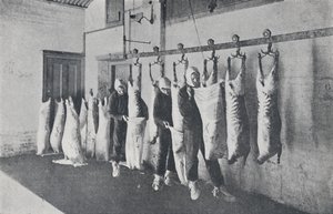 Carne congelada, 1923