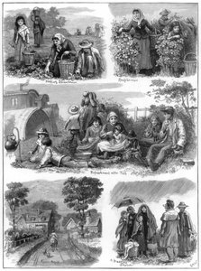 Recolectores de frutas, 1899 de Unbekannt