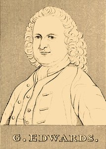 G. Edwards, 1694-1773, 1830 de Unbekannt