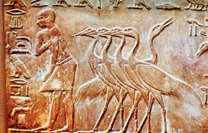 Gansos, relieve mural de la Tumba de Ptahhotep, Saqqara, Egipto, siglo XXIV a.C. de Unbekannt