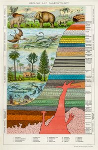 Geología y Paleontología