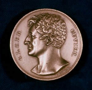 Georges Leopold Chretien Frederic Dagobert, Barón Cuvier, anatomista francés, siglo XIX