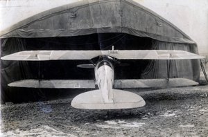 Albatros alemán DV, Souilly, Francia, 2 de enero de 1918 de Unbekannt