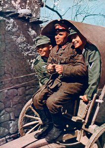 Tropas alpinas alemanas en un carro con un soldado búlgaro, Valle de Struma, Bulgaria, 1941 de Unbekannt