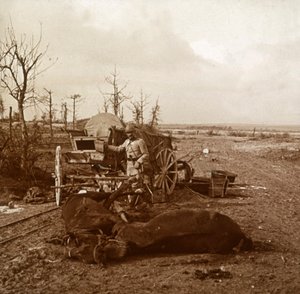 Vehículo tirado por caballos alemán, Tahure, norte de Francia, c. 1914-1918 de Unbekannt