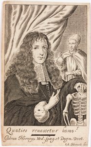 Gideon Harvey, médico inglés de Unbekannt