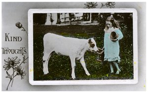 Niña a punto de ordeñar una vaca, tarjeta de felicitación, c. 1890-1910