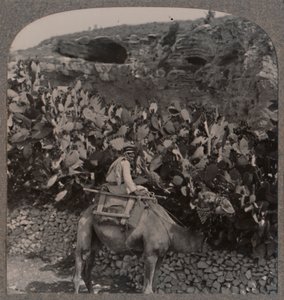 Gólgota El Lugar de la Calavera, c1900 de Unbekannt