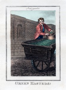Green Hasteds, Newgate, Londres, 1805 de Unbekannt